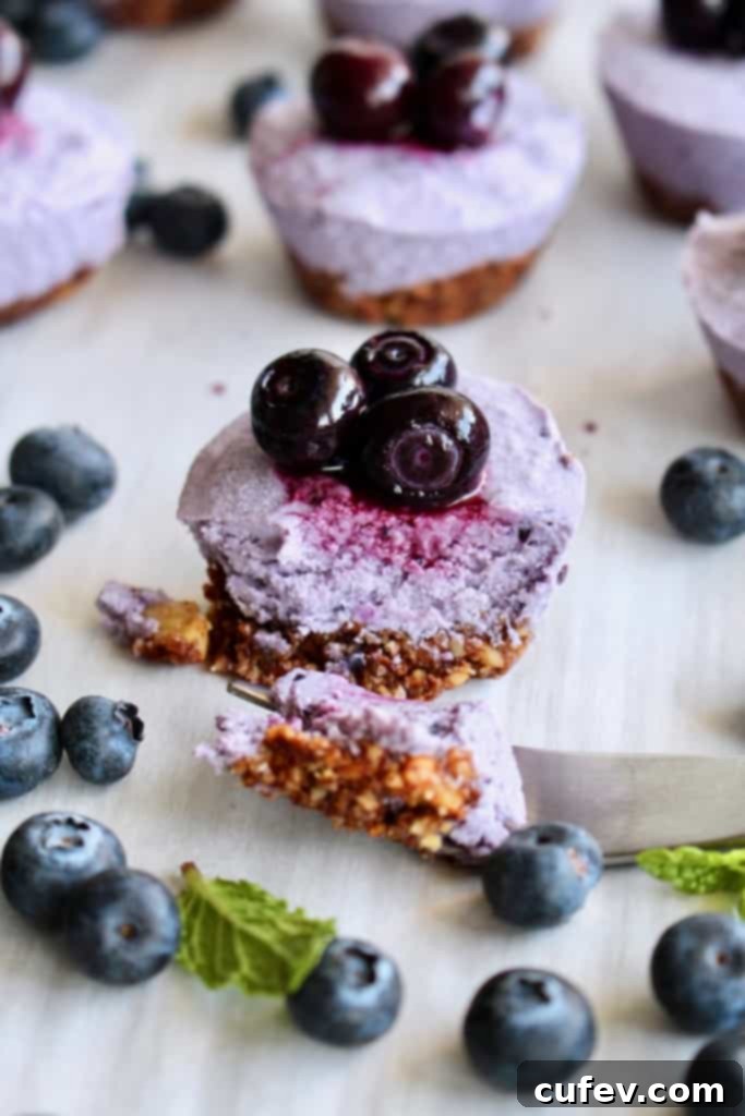 A close-up view of a single blueberry cheesecake bite cut in half, revealing its incredibly creamy, luscious, and smooth texture on the inside, showcasing its irresistible appeal.
