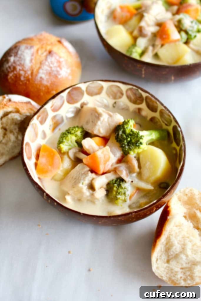 Blender filled with raw cashews and Chef's Choice coconut milk, ready to be blended into a creamy, dairy-free sauce for Vegan Japanese Cream Stew. Essential for thickening without flour.