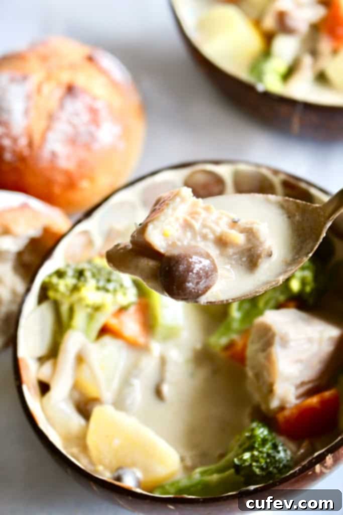 A beautifully plated bowl of Vegan Japanese Cream Stew, brimming with chunky vegetables and jackfruit, ready to be enjoyed as a hearty and healthy meal.