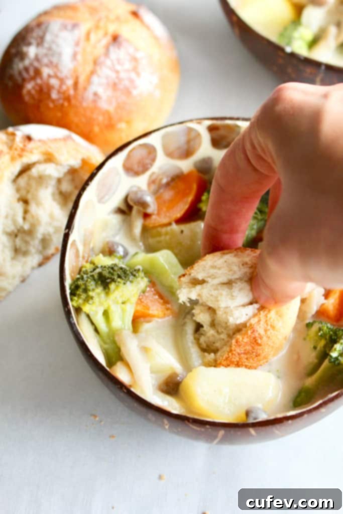Overhead shot of a delicious Vegan Japanese Cream Stew served with a side of fluffy white rice, highlighting its comforting and nourishing qualities for a delightful meal.