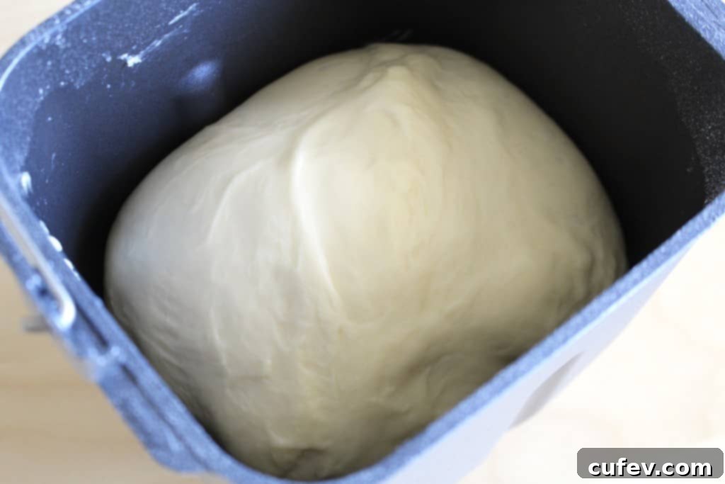 Freshly prepared dough ingredients in a bread machine pan, ready for the dough cycle.