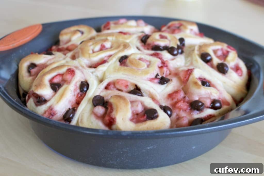 Twelve unbaked strawberry chocolate rolls arranged in a round baking pan, undergoing their second rise.