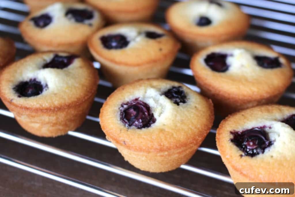 Freshly baked Lemon Blueberry Financiers on a cooling rack, showcasing their golden crust and juicy blueberry tops.