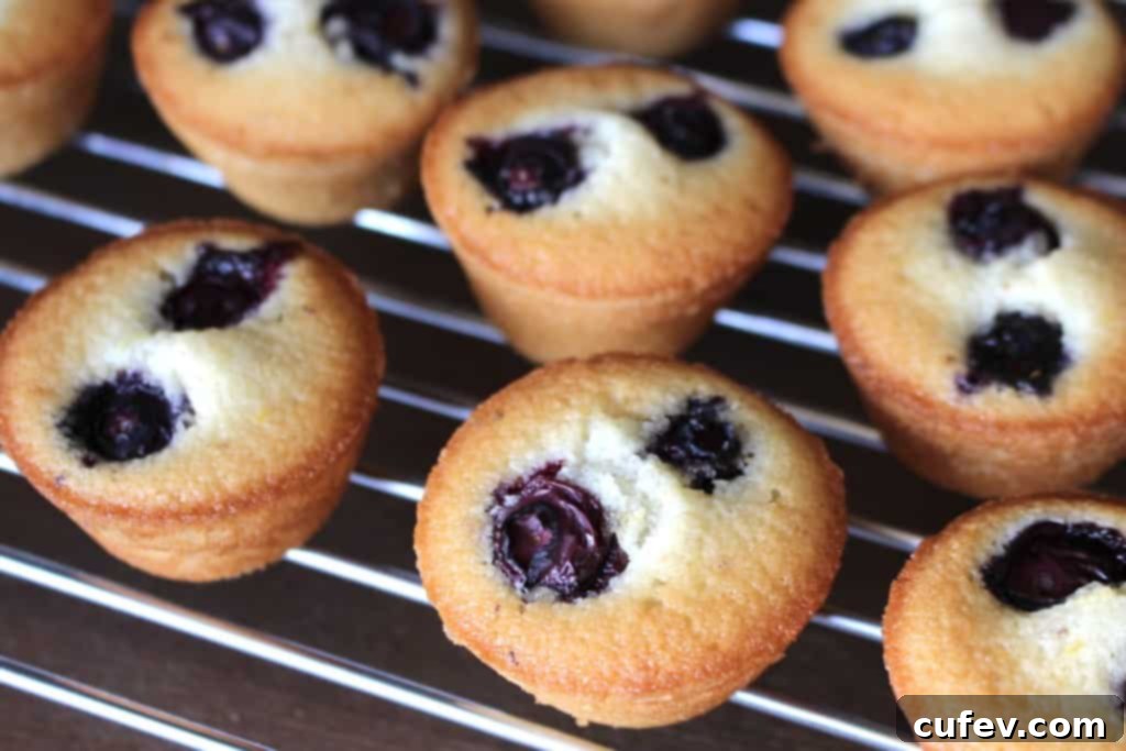 Freshly baked Lemon Blueberry Financiers cooling on a wire rack after being removed from the pan.