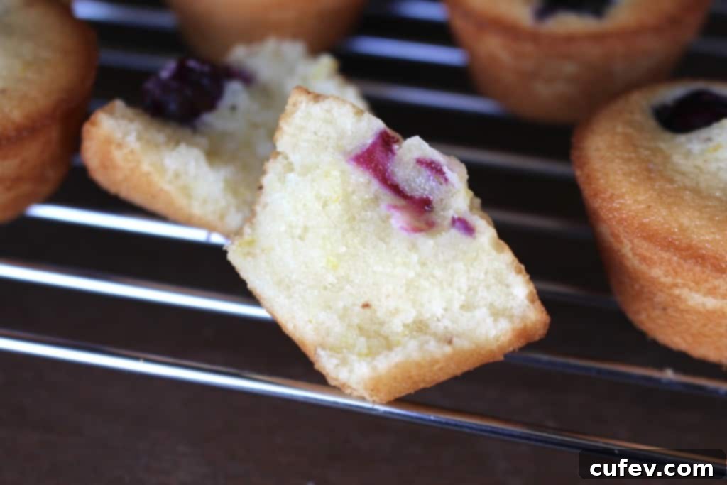 A small stack of two freshly baked Lemon Blueberry Financiers, ready to be enjoyed as a two-bite treat.