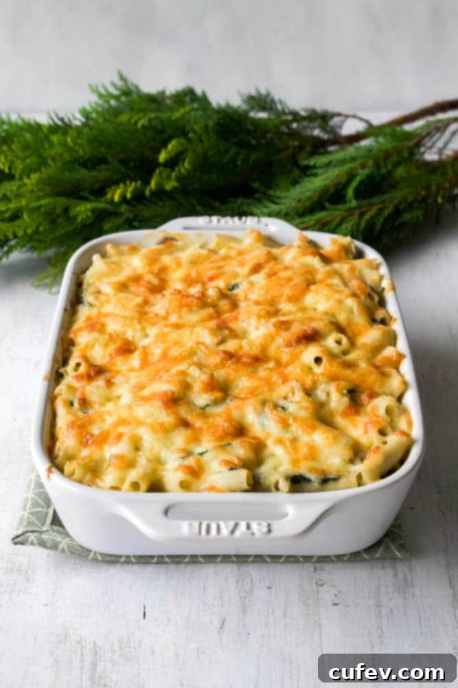 A creamy macaroni au gratin baked in a white casserole dish, with a golden-brown, bubbly top.