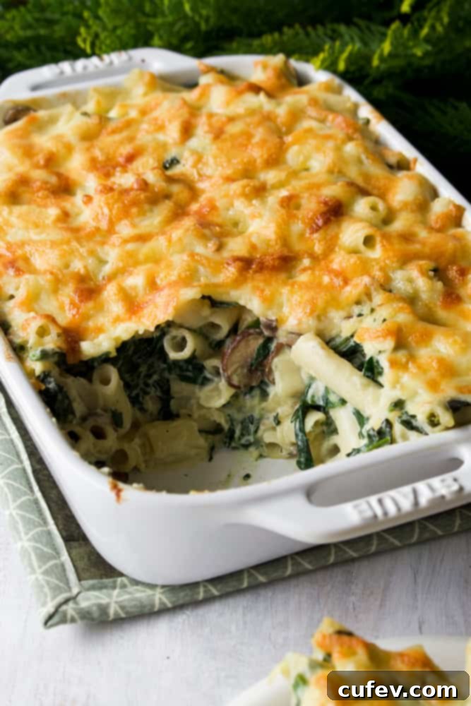 A casserole dish filled with baked macaroni au gratin, topped with melted golden vegan cheese.