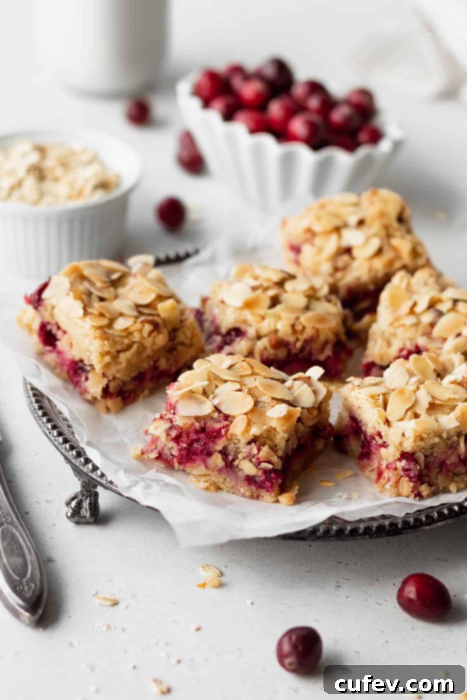 Wholesome Gluten Free Dairy Free Cranberry Oat Bars 2 Oatmeal bars with cranberries on a platter