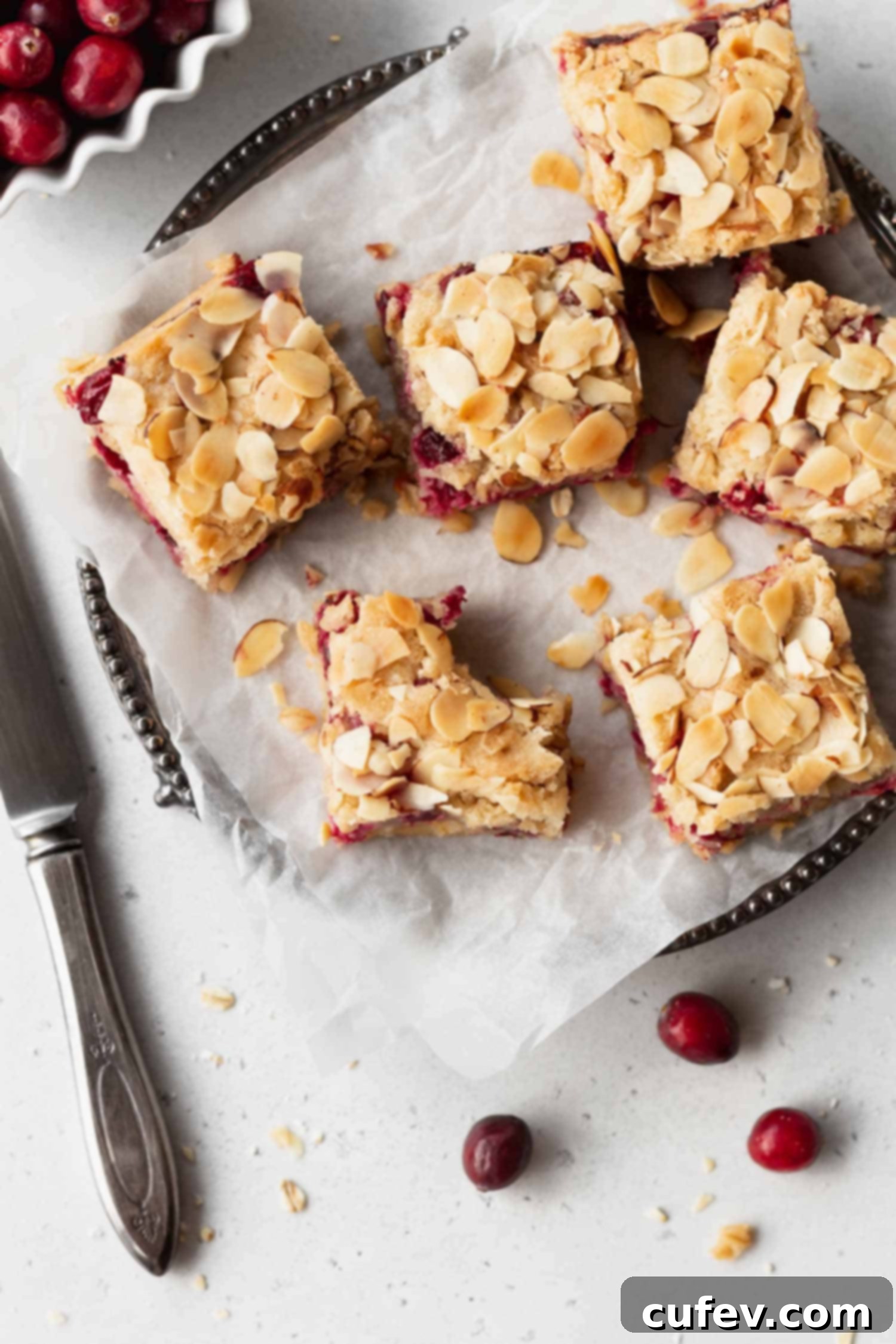Wholesome Gluten Free Dairy Free Cranberry Oat Bars 4 Cranberry oat bars