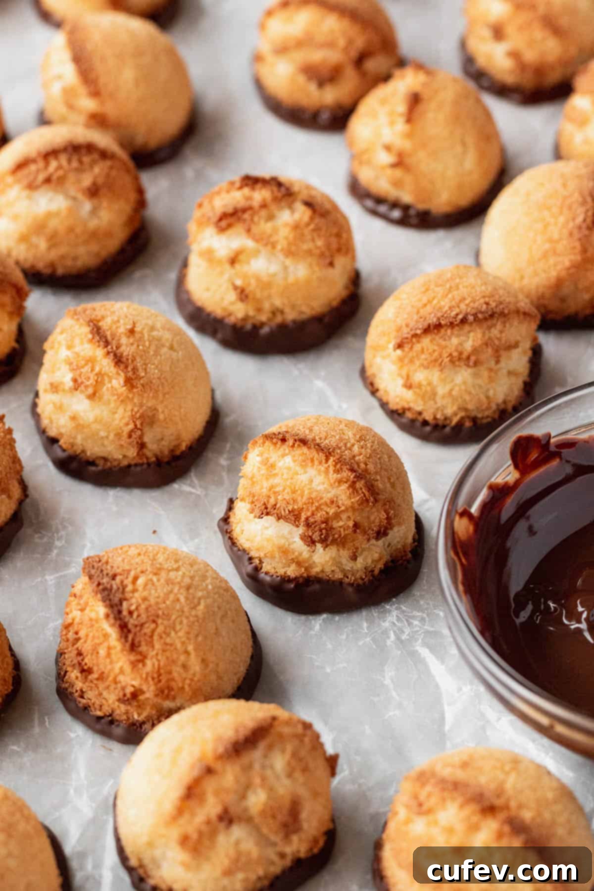 Cooled coconut macaroons with their bottoms elegantly dipped in rich melted chocolate.