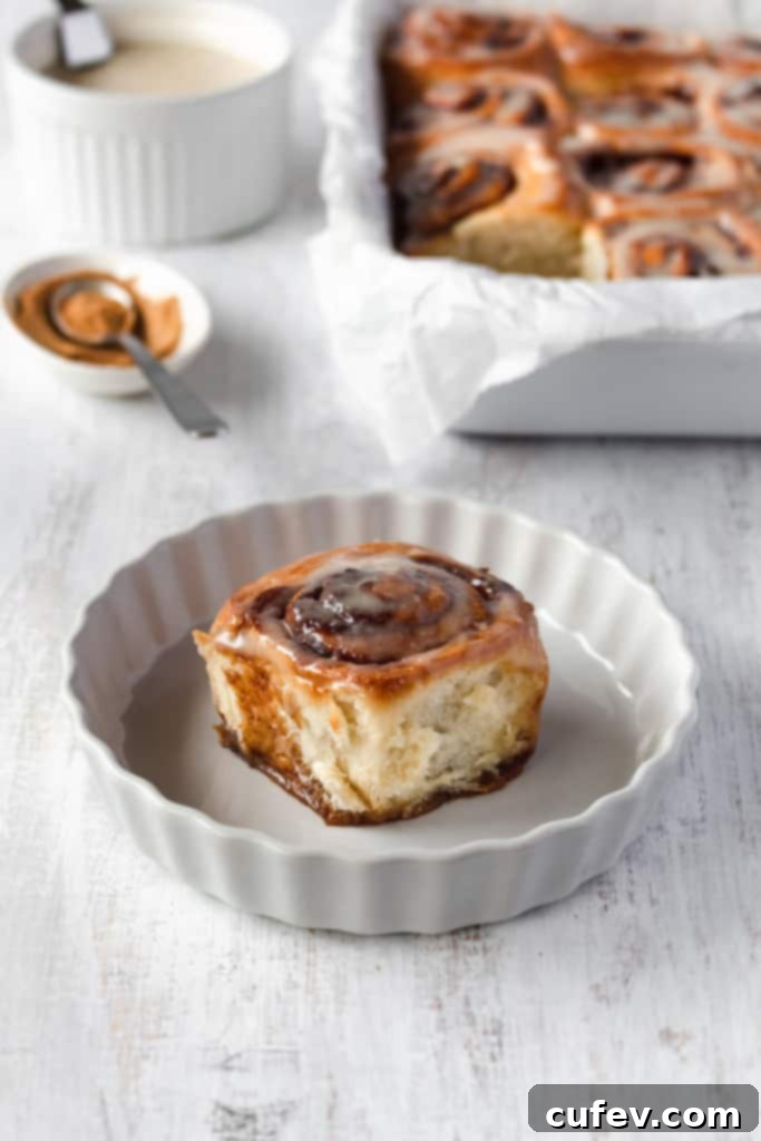 Easy Fluffy Vegan Cinnamon Rolls with Cashew Frosting 2 These vegan cinnamon rolls are super easy to make! So fluffy and topped with a cashew cream cheese icing, these vegan cinnamon buns are loved by everyone! #vegancinnamonrolls #cinnamonrolls #cinnamonbuns #veganrecipe #easyrecipe