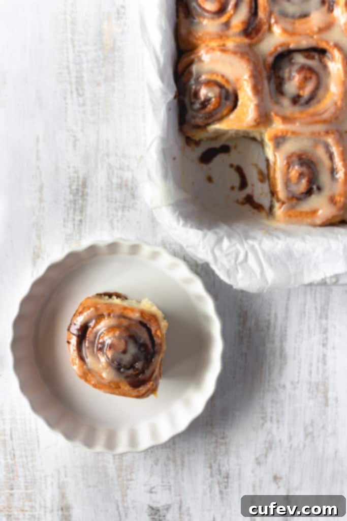 Easy Fluffy Vegan Cinnamon Rolls with Cashew Frosting 3 These vegan cinnamon rolls are super easy to make! So fluffy and topped with a cashew cream cheese icing, these vegan cinnamon buns are loved by everyone! #vegancinnamonrolls #cinnamonrolls #cinnamonbuns #veganrecipe #easyrecipe