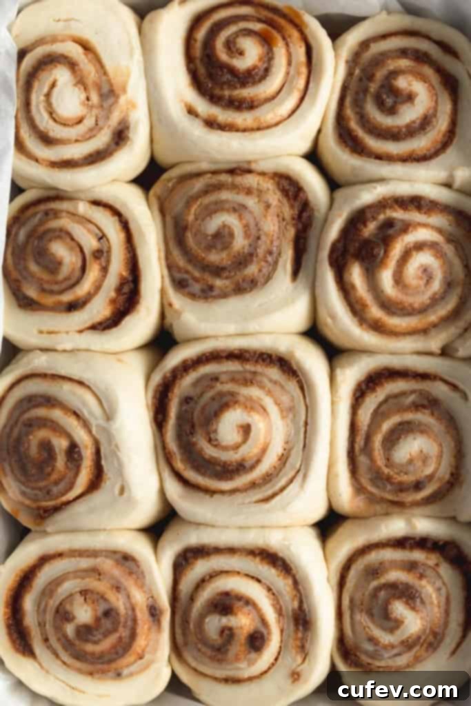 Easy Fluffy Vegan Cinnamon Rolls with Cashew Frosting 6 The trick to a beautifully swirled cinnamon roll is to roll out the dough thinly before adding the filling