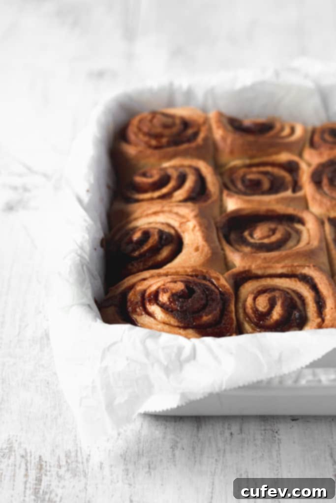 Easy Fluffy Vegan Cinnamon Rolls with Cashew Frosting 7 Vegan cinnamon buns fresh out of the oven before covering with icing