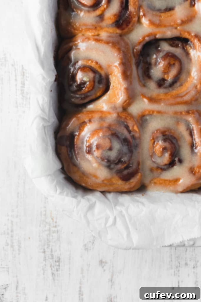 Easy Fluffy Vegan Cinnamon Rolls with Cashew Frosting 8 These vegan cinnamon rolls are super easy to make! So fluffy and topped with a cashew cream cheese icing, these vegan cinnamon buns are loved by everyone! #vegancinnamonrolls #cinnamonrolls #cinnamonbuns #veganrecipe #easyrecipe