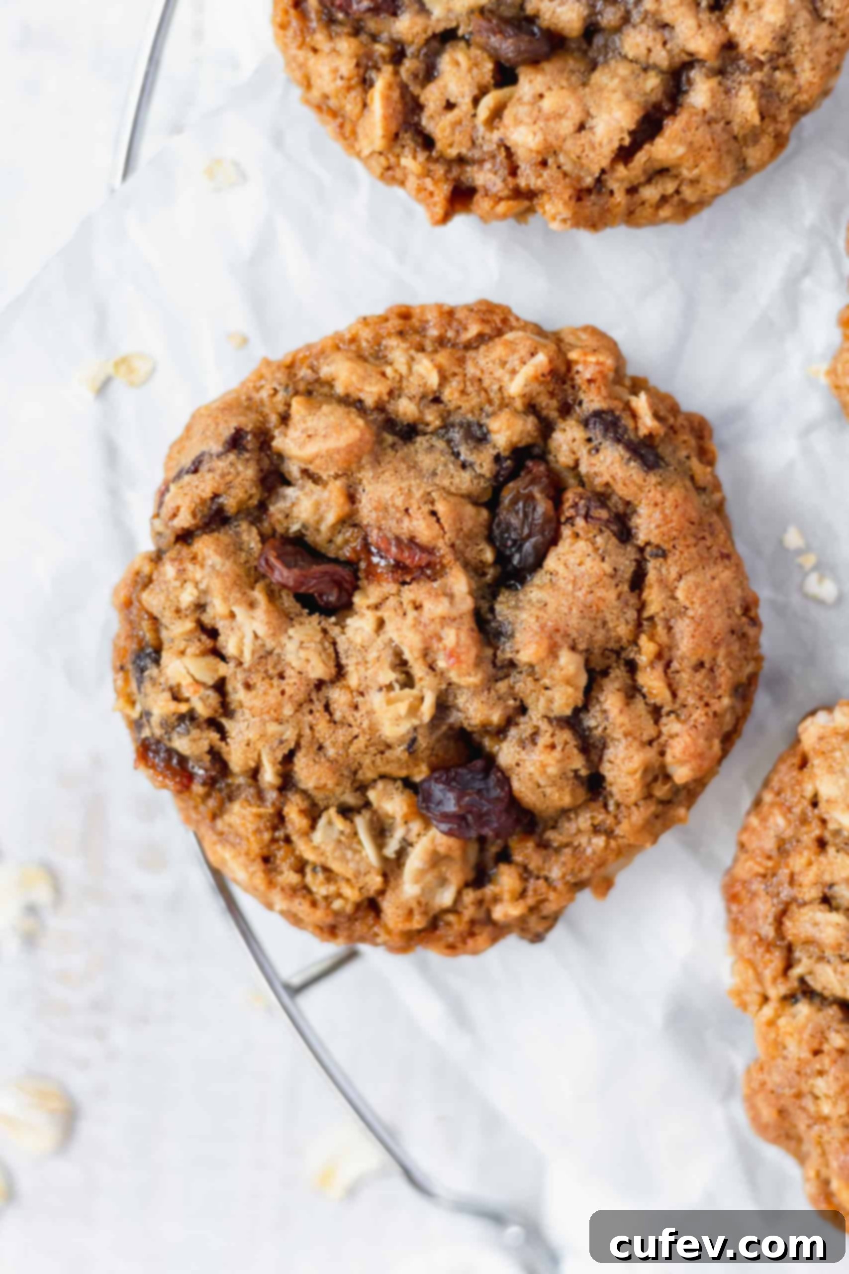 Close up of an oatmeal cookie with raisins