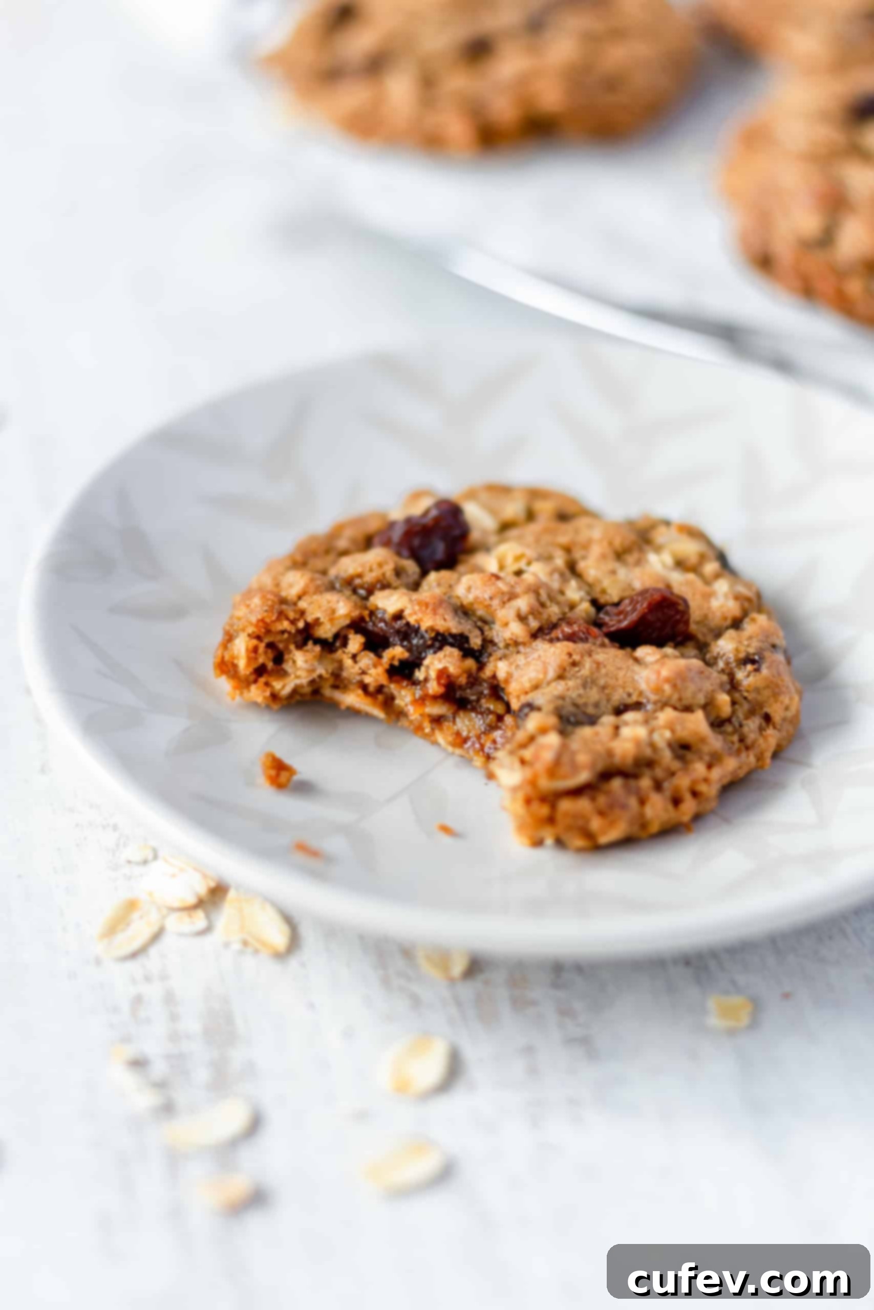 A bitten cookie on a plate