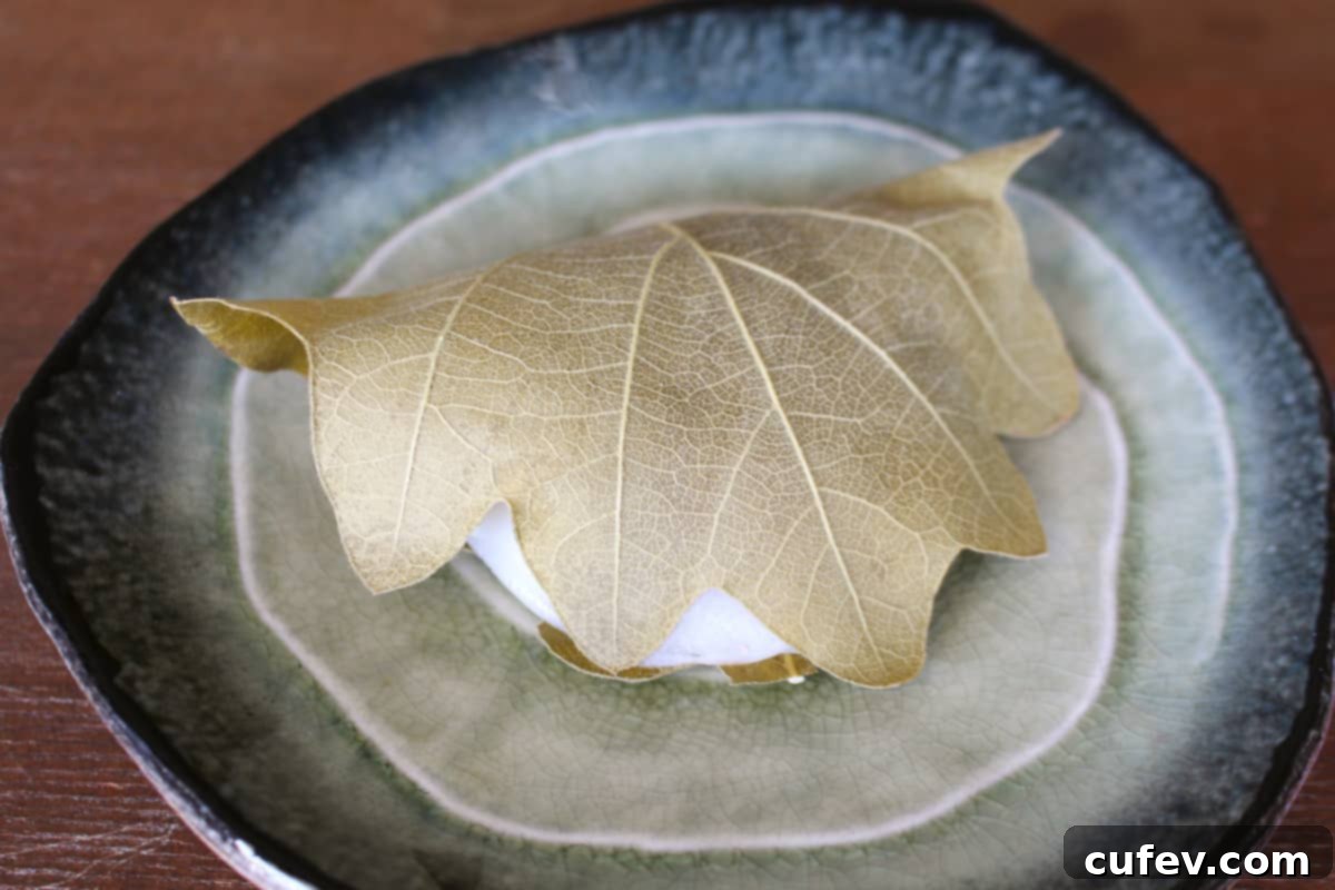 Two perfectly formed Kashiwa Mochi, each wrapped in its traditional oak leaf, presented elegantly on a handcrafted ceramic plate, ready to be enjoyed.