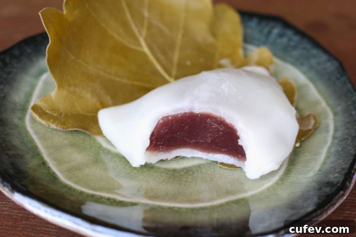 A vibrant close-up of a Kashiwa Mochi with a bite taken out, revealing the red bean paste filling, artfully placed on its kashiwa oak leaf on a contrasting blue plate.