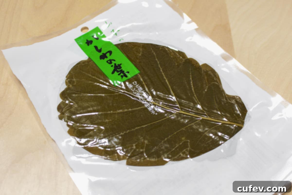 Freshly packed Kashiwa leaves, ready for use, displayed in their packaging.