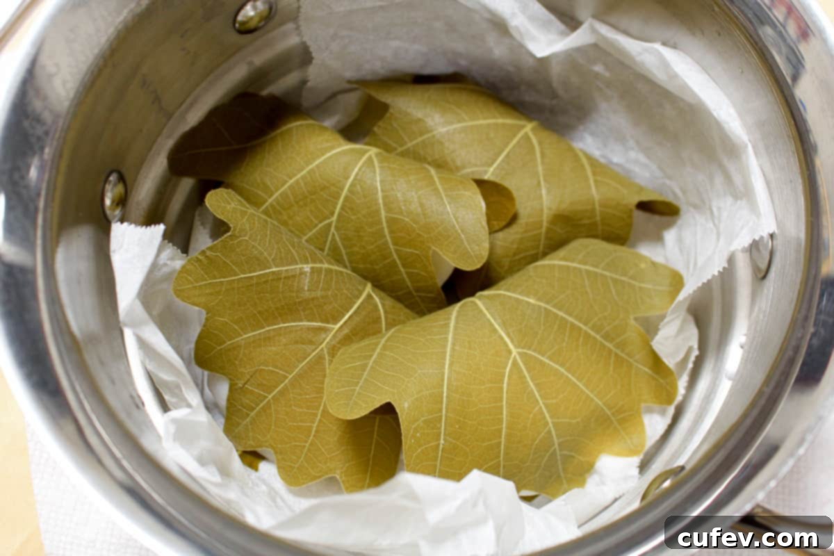 Freshly assembled Kashiwa Mochi, still wrapped in their oak leaves, arranged neatly within a parchment-lined steamer basket for their final steaming session.