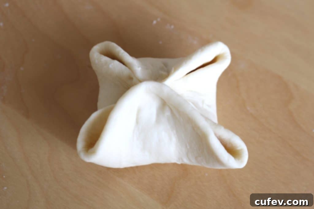 Close-up of a dough wrapper with savory pork filling placed in the center, ready for shaping.