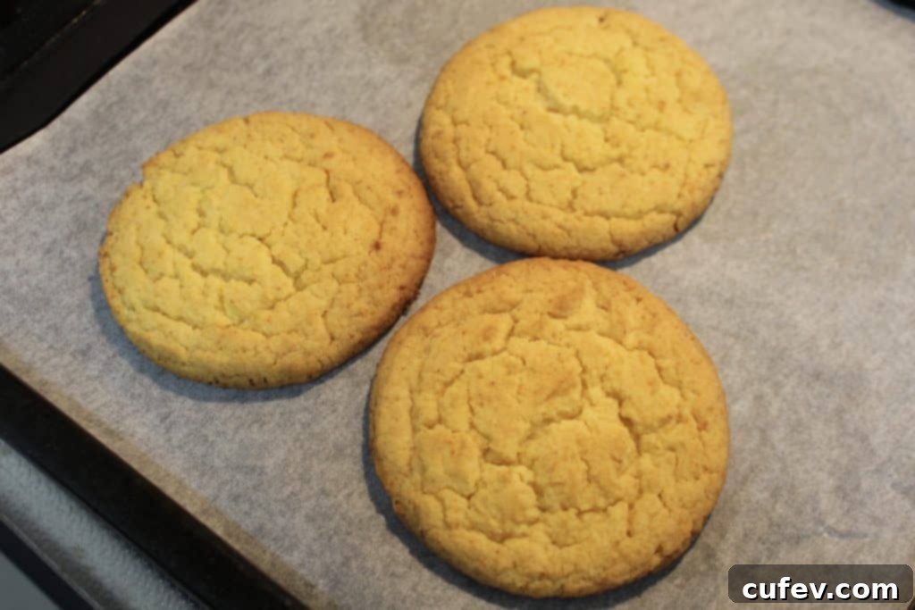 Baked corn cookies cooling on a baking sheet, displaying their golden-brown color and texture