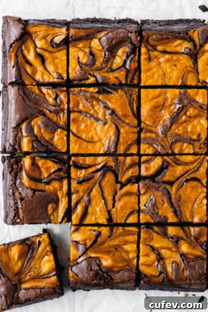 Close up of brownies with a pumpkin cheesecake swirl.