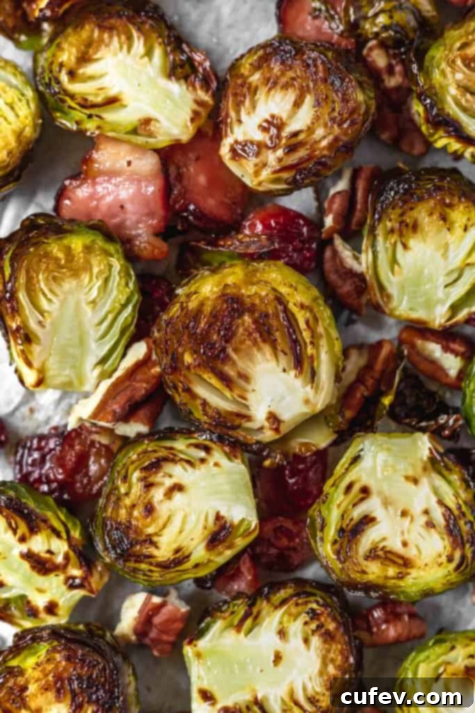 Nutritious Brussels sprouts, roasted to perfection, highlighting their health benefits for a balanced diet.