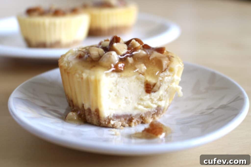 Finished Honey Almond Gouda Cheesecakes, topped with golden honey-almond sauce