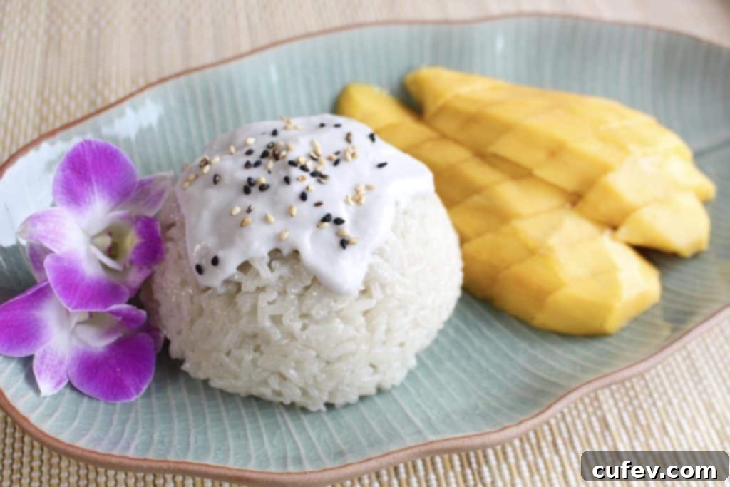 Molded sticky rice with sliced mango, ready to be served