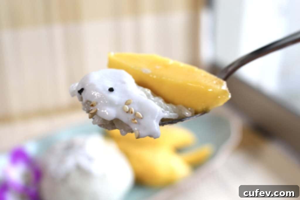 Delicious Mango Sticky Rice (Khao Niao Mamuang) plated and garnished