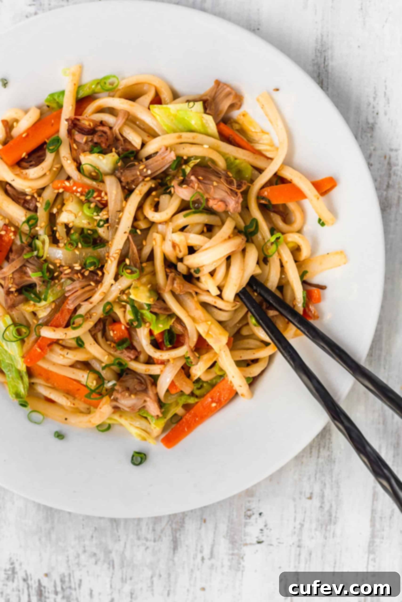 A plate of vegan massaman udon with perfectly crisped jackfruit, waiting to be combined with the rich curry sauce.