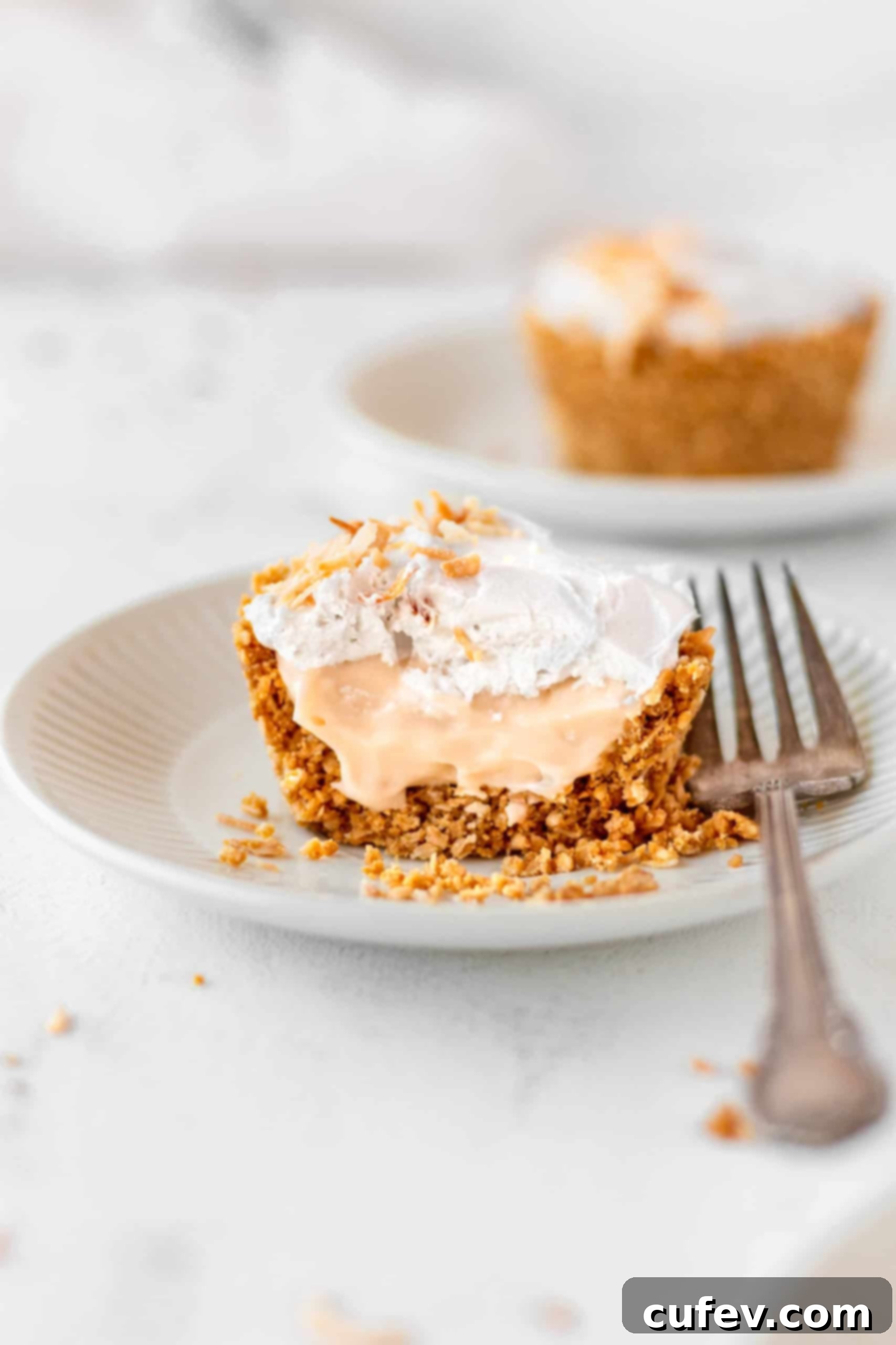 A beautifully presented vegan and gluten-free coconut cream pie on a dessert plate, ready to be enjoyed