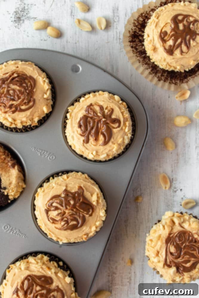 Delightful peanut butter cupcakes, beautifully frosted with a chocolate swirl, arranged in a muffin tin.