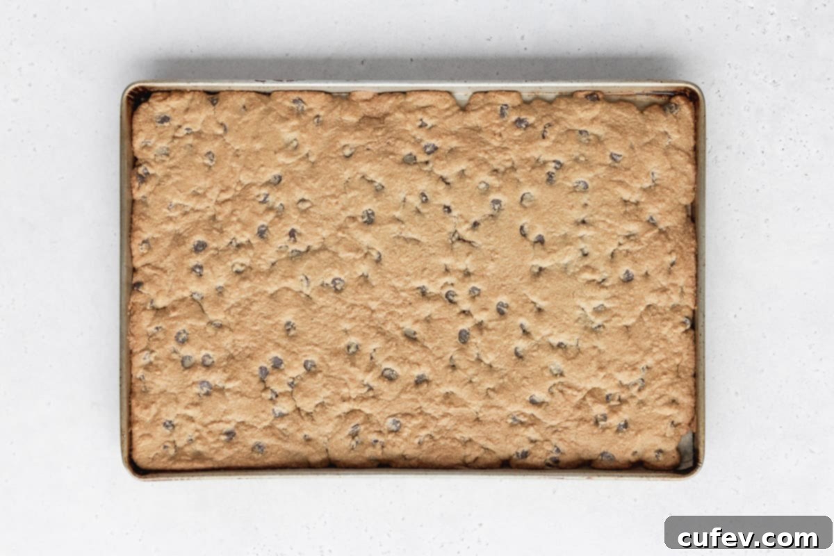 A perfectly baked sugar cookie dough base, featuring subtle chocolate chips, now cooled and ready for frosting to become a fruit flag pizza.