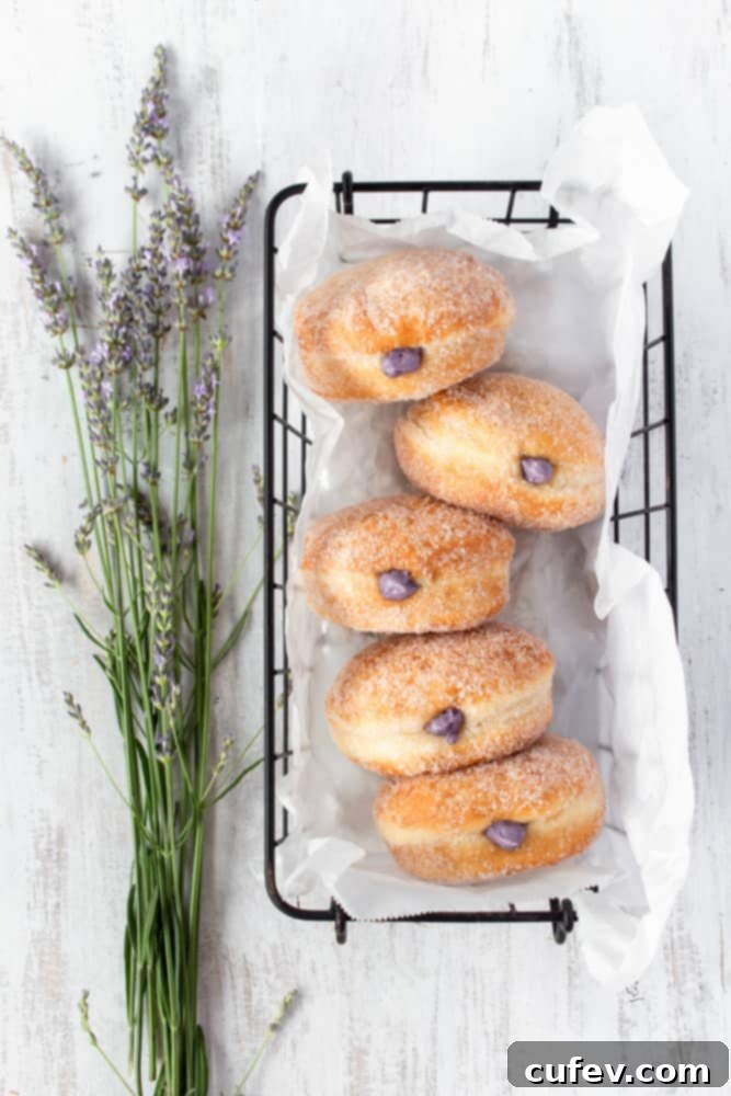 Super fluffy, melt-in-your-mouth blueberry cream cheese doughnuts, effortlessly made with a bread machine dough and filled with a delectable sweet and tangy blueberry cream cheese filling. Perfect for breakfast or dessert!