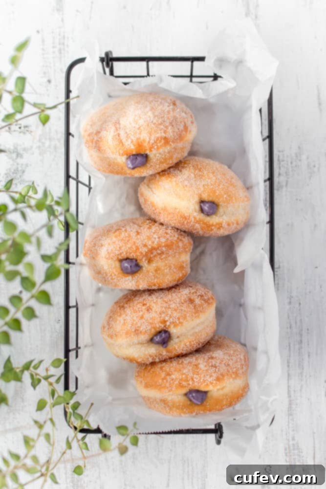 Making homemade blueberry cream cheese doughnuts is surprisingly simple, especially when the dough is prepared in a bread machine, yielding a perfect texture every time.