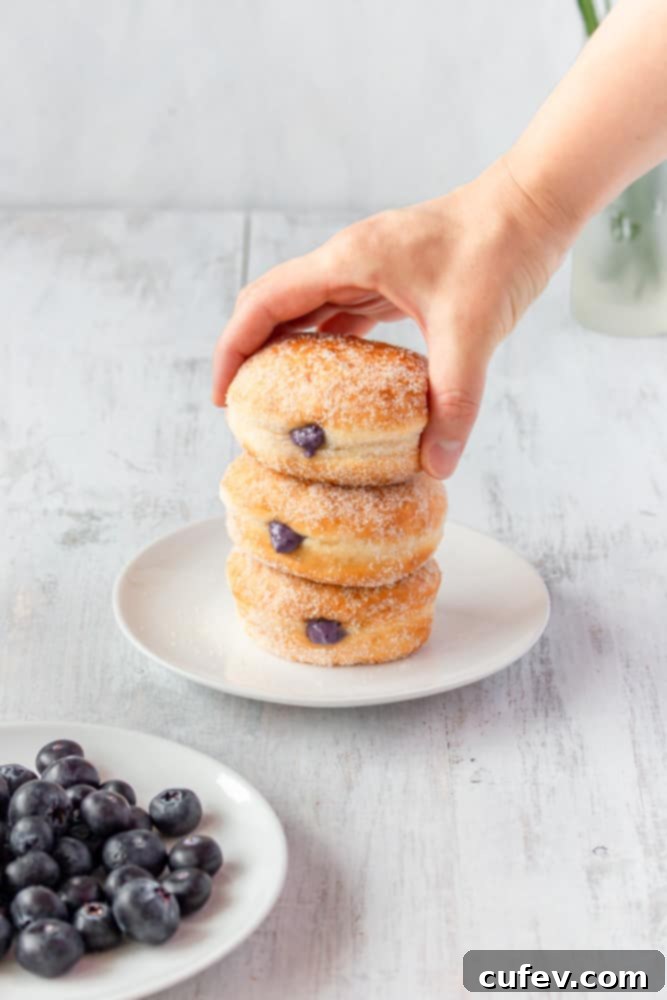 The golden-brown, sugar-coated doughnuts, fresh from the fryer, are the perfect canvas for the vibrant blueberry cream cheese filling, making for an unforgettable treat.