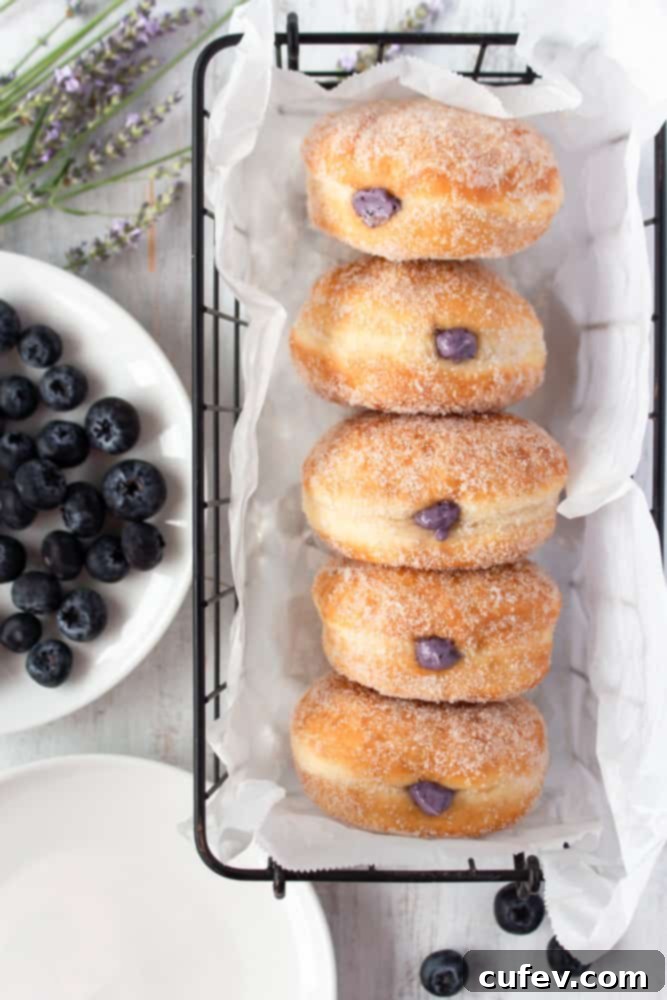 The vibrant blueberry cream cheese filling, rich and smooth, is the heart of these irresistible homemade doughnuts, adding a burst of flavor to every bite.