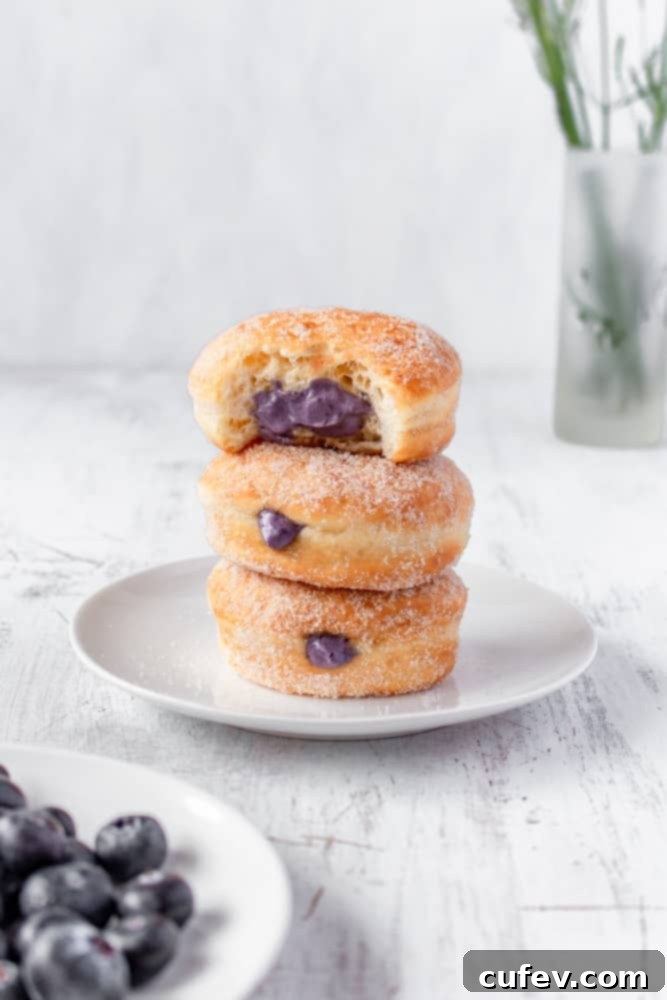It's impossible to resist just one of these perfectly filled, sugar-dusted blueberry cream cheese donuts. You'll definitely want more!
