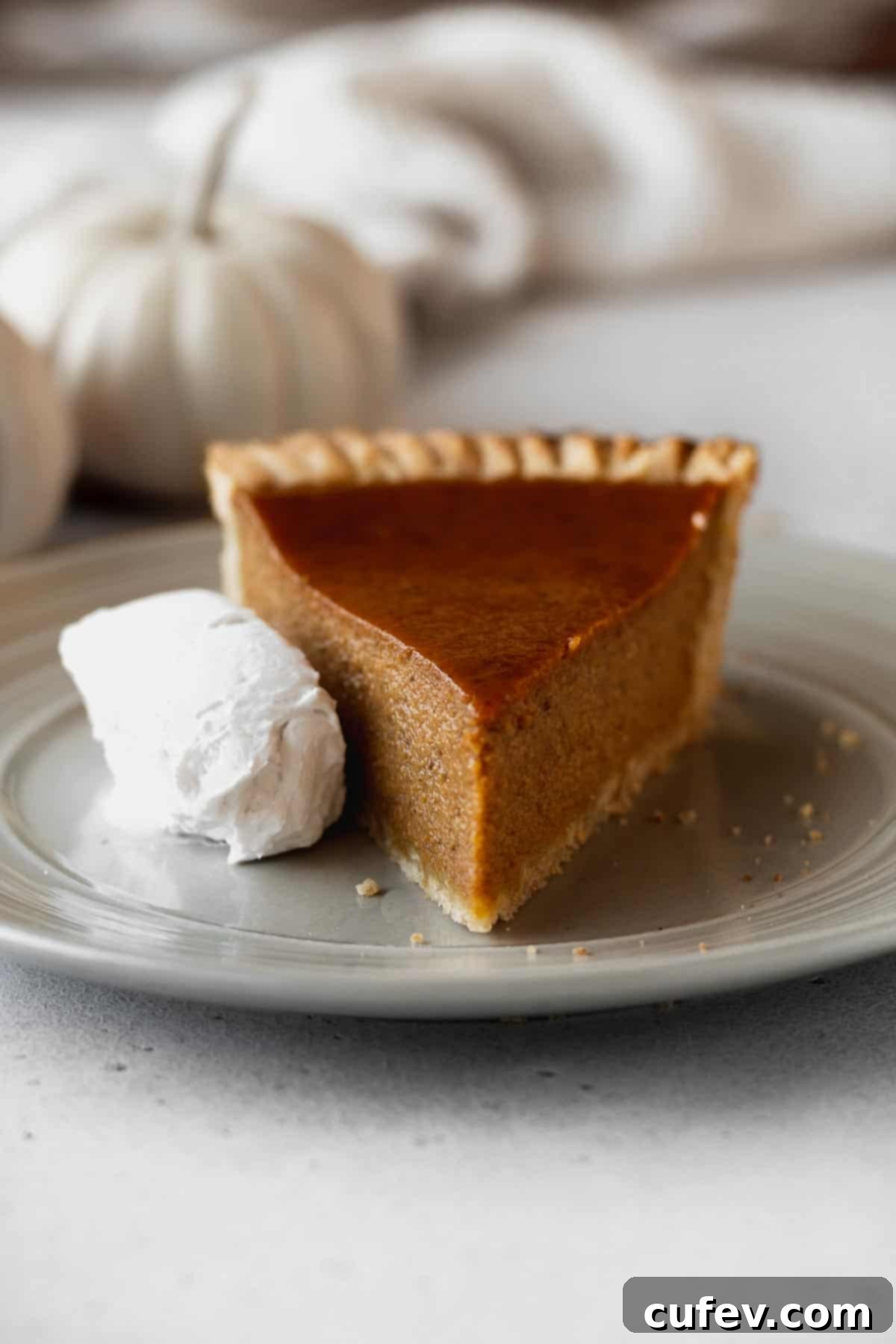 A perfectly baked slice of dairy-free pumpkin pie on a grey plate, adorned with a dollop of whipped coconut cream and a rustic white pumpkin in the background, signaling autumn's arrival.