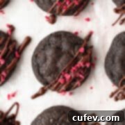 A close up shot of fudgy double chocolate chip cookies with freeze-dried raspberries sprinkled on top.