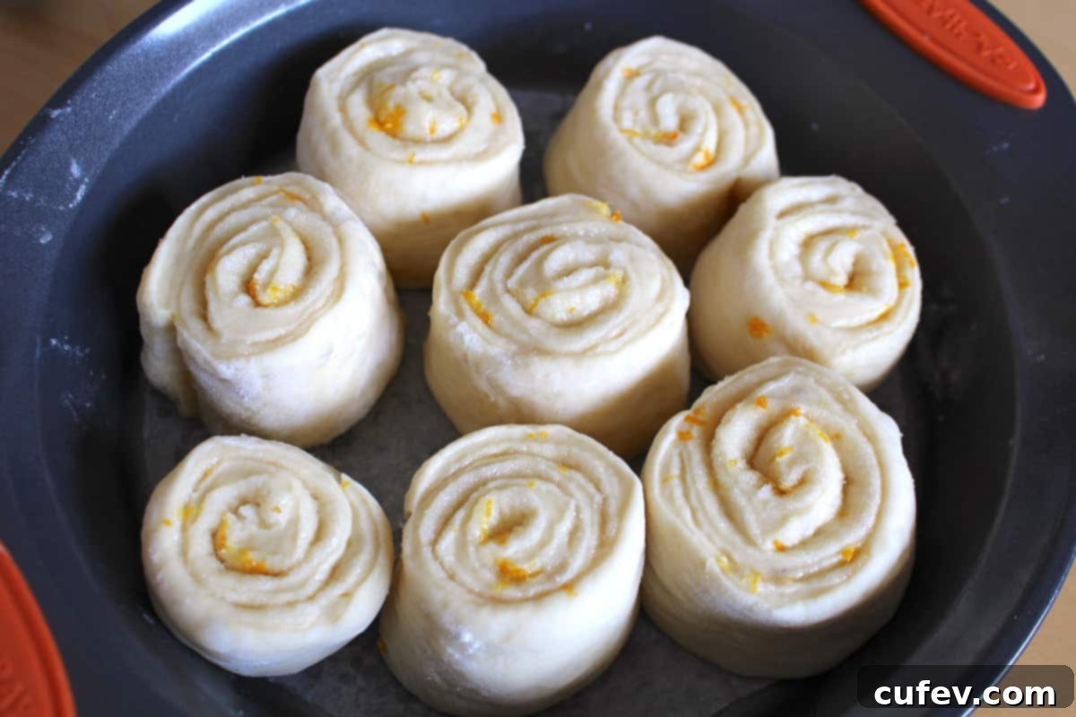 Eight uncooked lemon cinnamon rolls, perfectly arranged in a round baking pan lined with parchment paper, before the second proofing.
