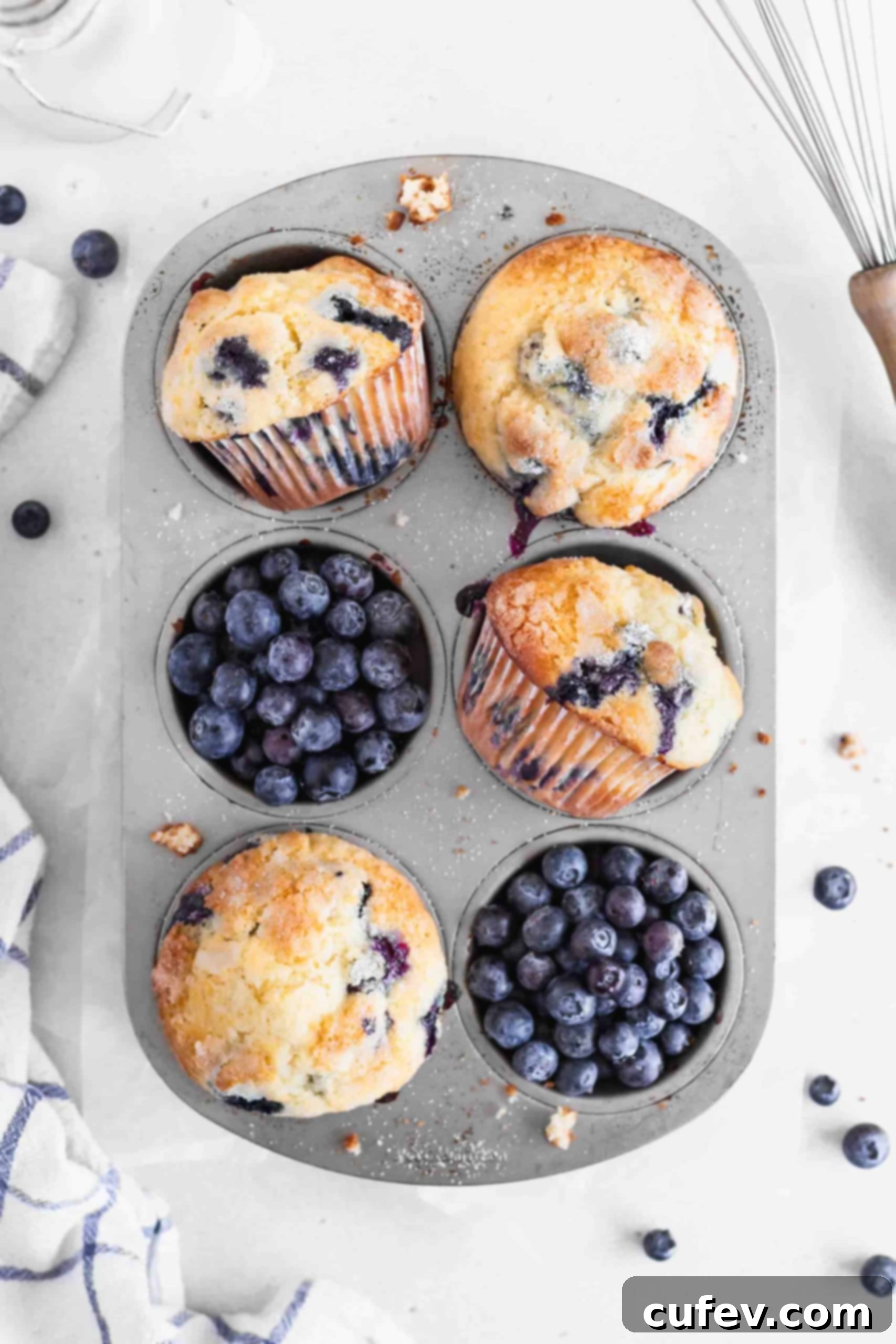 Bursting Blueberry Muffins 2 Blueberry muffins and fresh blueberries in a muffin pan