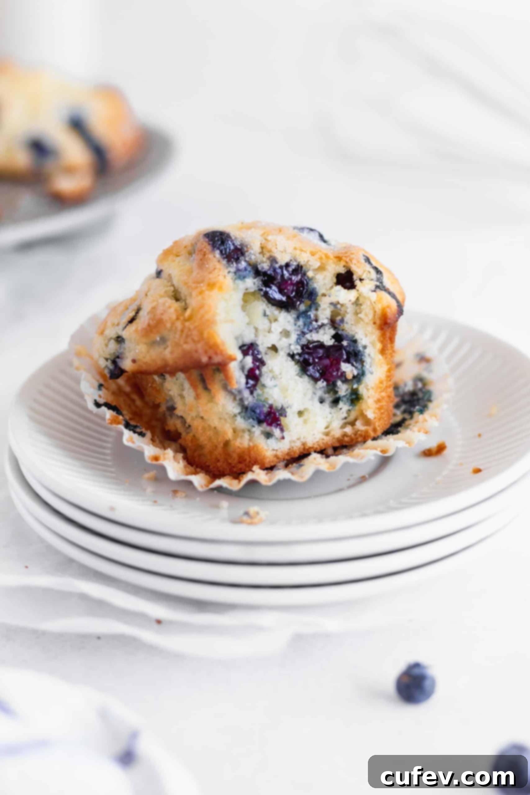 Bursting Blueberry Muffins 4 A bitten blueberry muffin