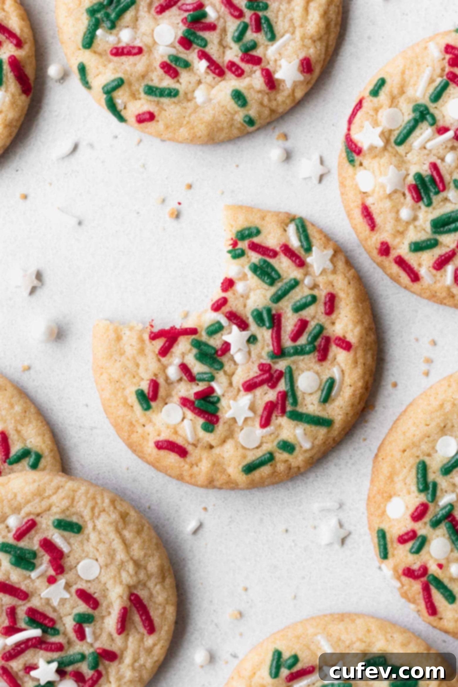 A Christmas sugar cookie with a bite taken out.