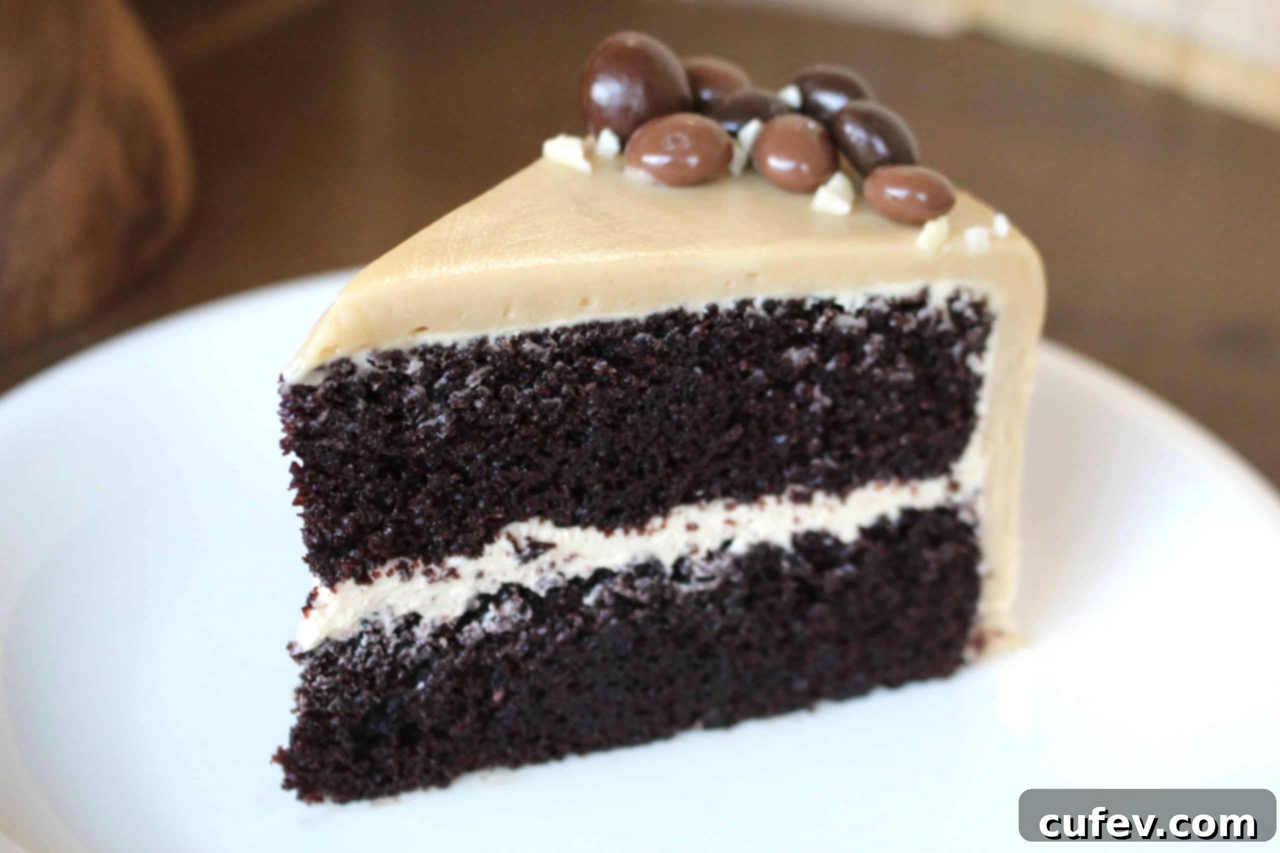 Chocolate Mocha Cake