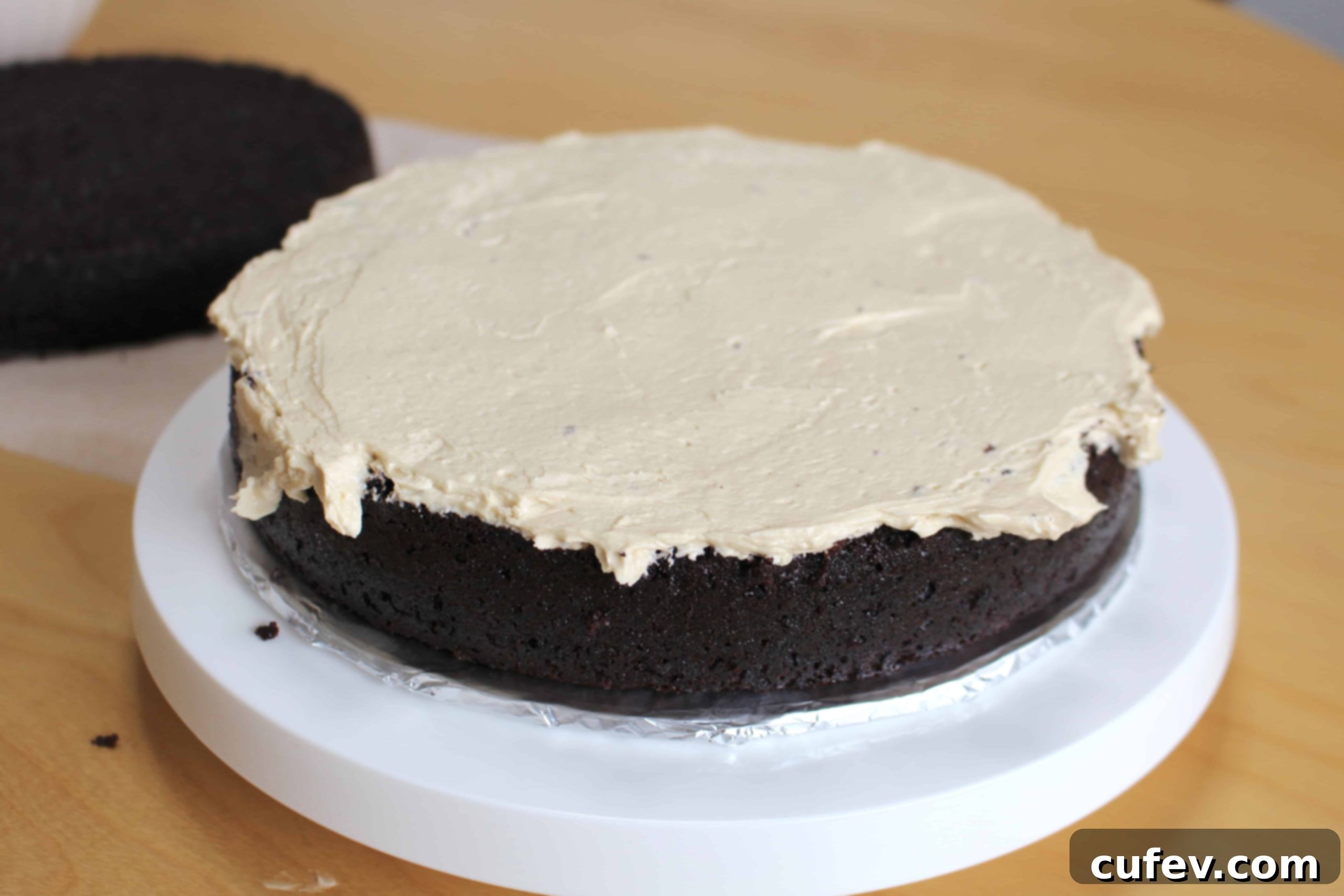 Chocolate Mocha Cake