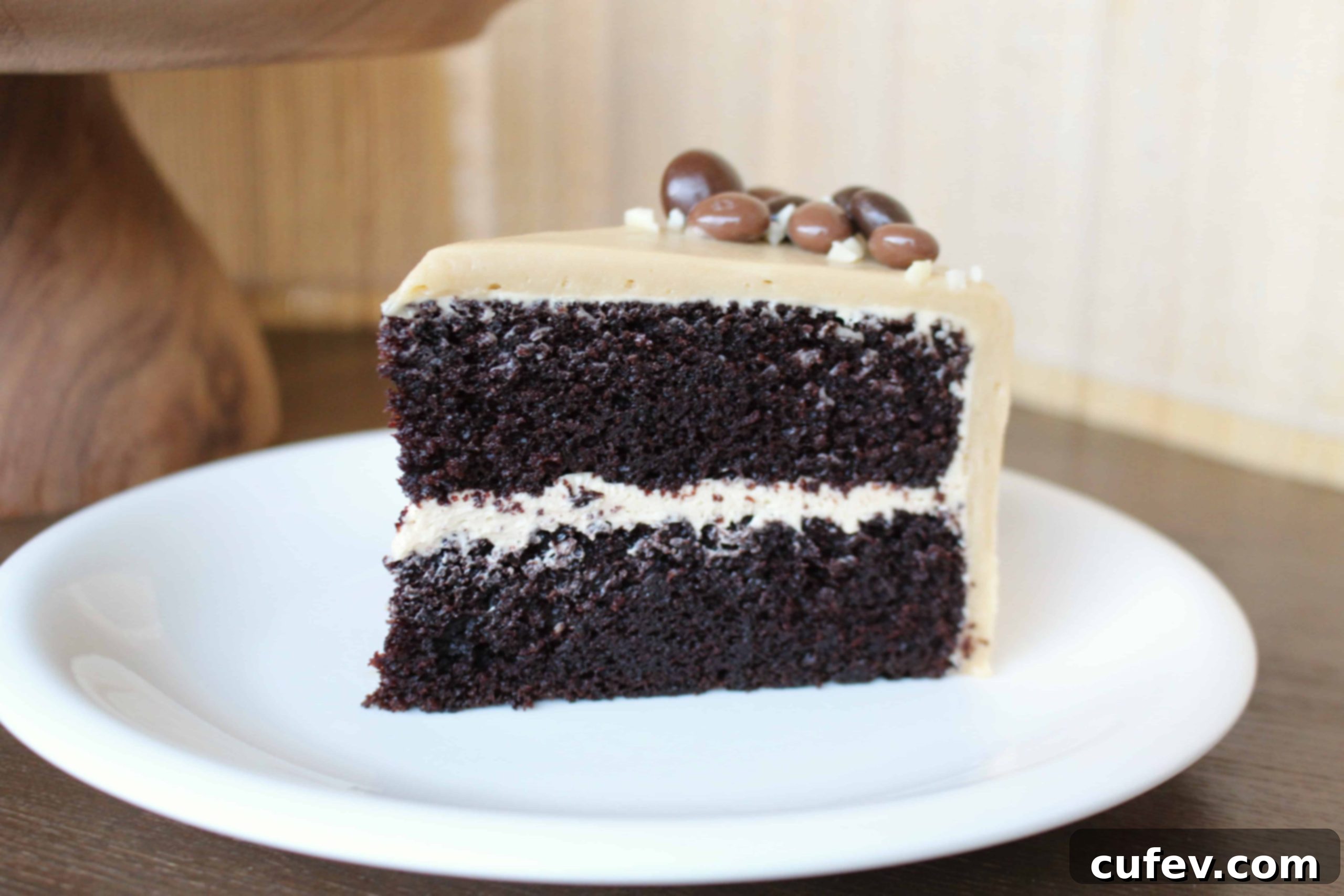 Chocolate Mocha Cake